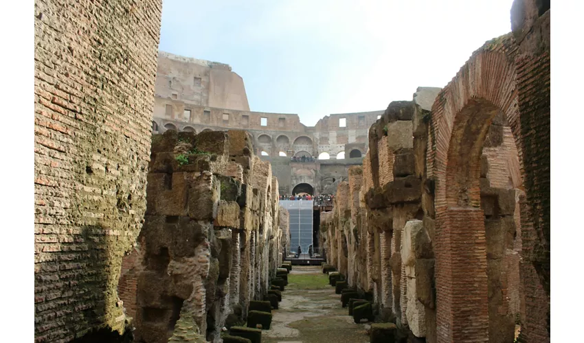 Colosseum, Arena, Underground, Forum & Palatine Hill + Guided Tour