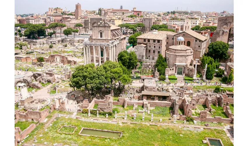 Foro Romano e Palatino: Visita guidata