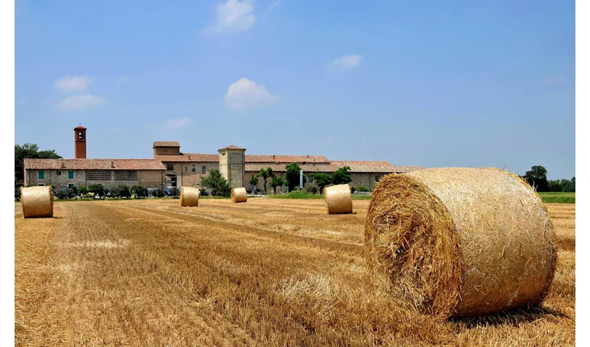 Museos gastronómicos: Museo de la Pasta