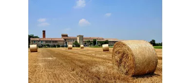 Museos gastronómicos: Museo de la Pasta