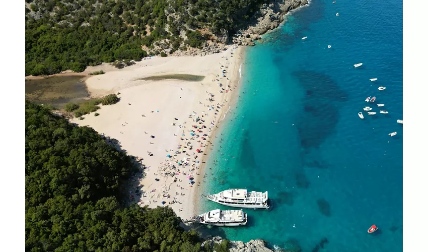 Golfo di Orosei: tour in barca con soste in spiaggia