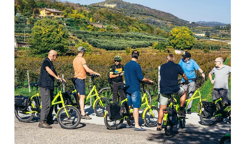 Ruta en e-Bike por el vino Amarone en Valpolicella