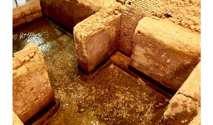 Fontana di Trevi Roma: tour guidato di 40 minuti della Domus sotterranea