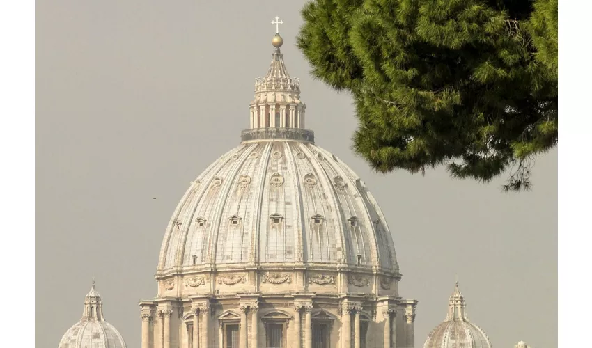 St. Peter's Basilica: Guided Tour