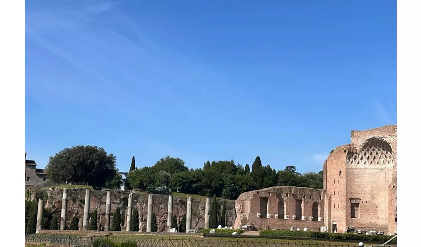 Colosseo, Foro Romano e Palatino + Audioguida digitale