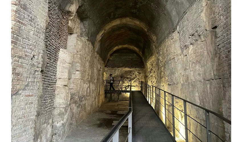 Colosseum, Arena, Underground, Forum & Palatine Hill + Guided Tour