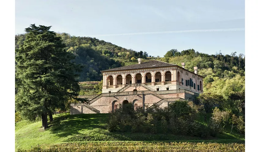 Villa dei Vescovi: Entry Ticket