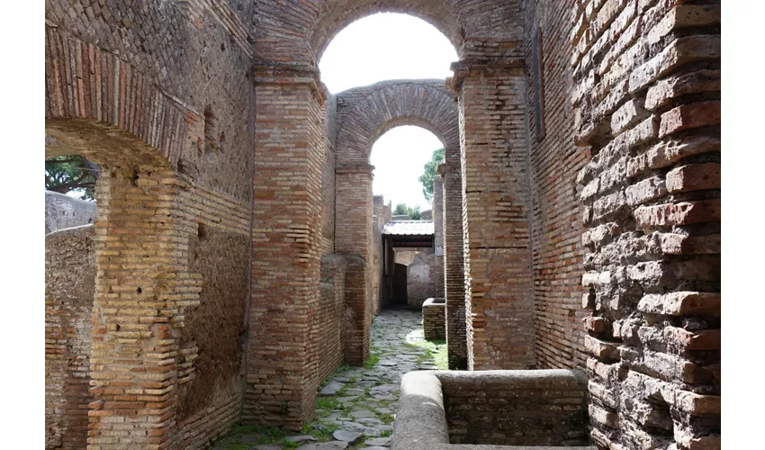 Ostia Antica: Tour semi-privato di mezza giornata da Roma