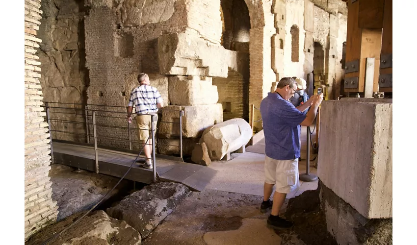 Colosseum, Arena, Underground, Forum & Palatine Hill + Guided Tour