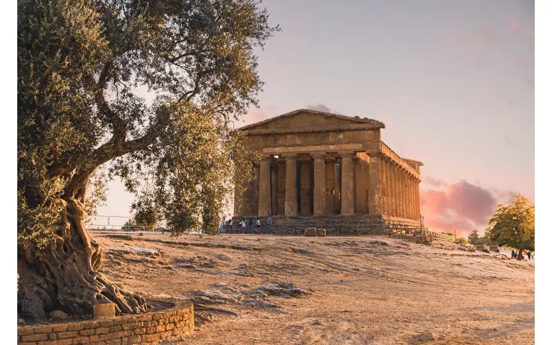 La stagione delle fioriture: mandorli, agrumi e campagne in fiore