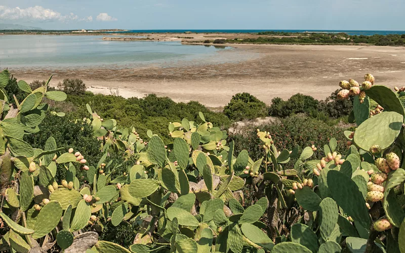 Ideale per il trekking: tra canyon riserve e montagne panoramiche