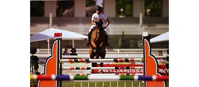 fei_jumping_3