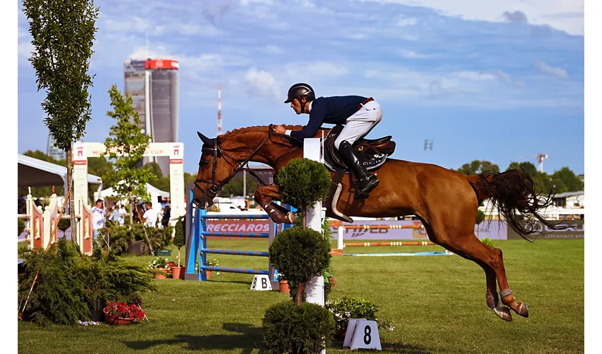 fei_jumping_1