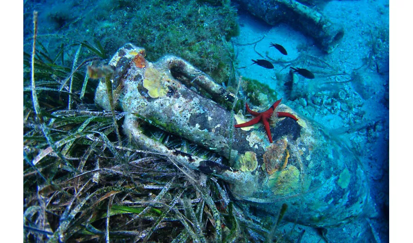 Area Marina Protetta Isole Egadi