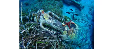 Area Marina Protetta Isole Egadi