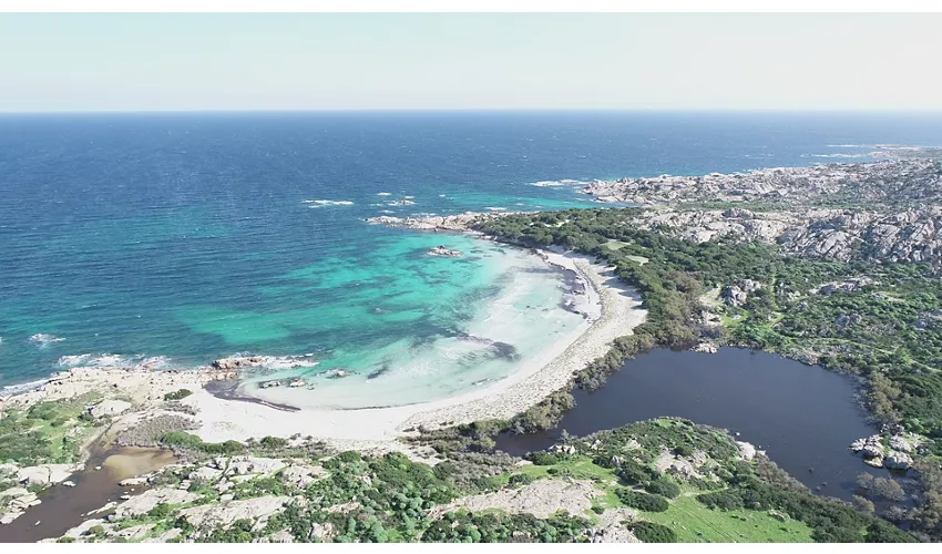 Area Marina Protetta Isola dell'Asinara