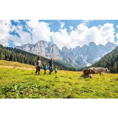 Entdecken Sie Ihre italienischen Wurzeln neu