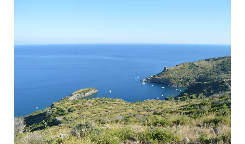 Area Marina Protetta Costa degli Infreschi e della Masseta