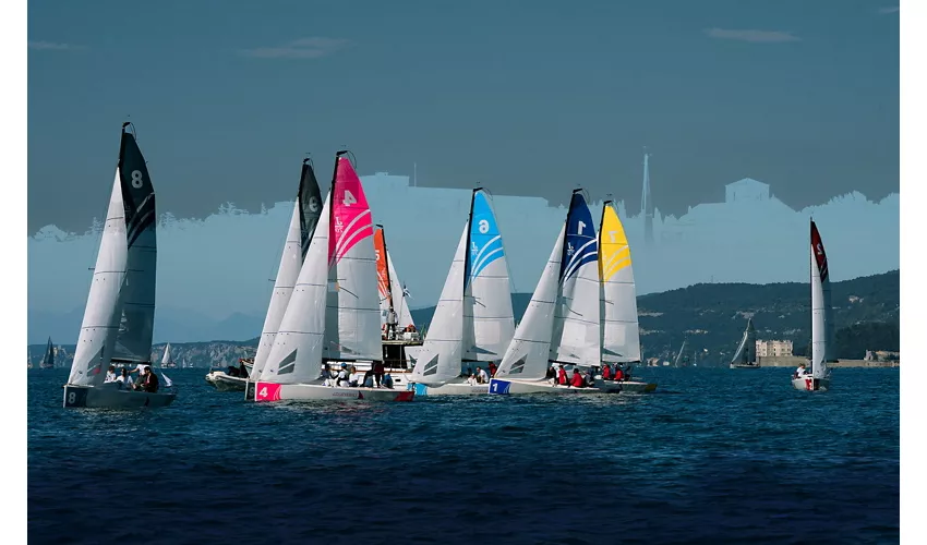 Regata Barcolana