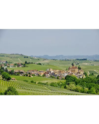 Barolo