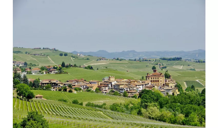 Barolo