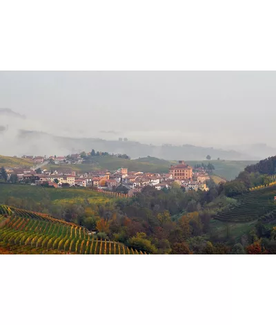 Barolo