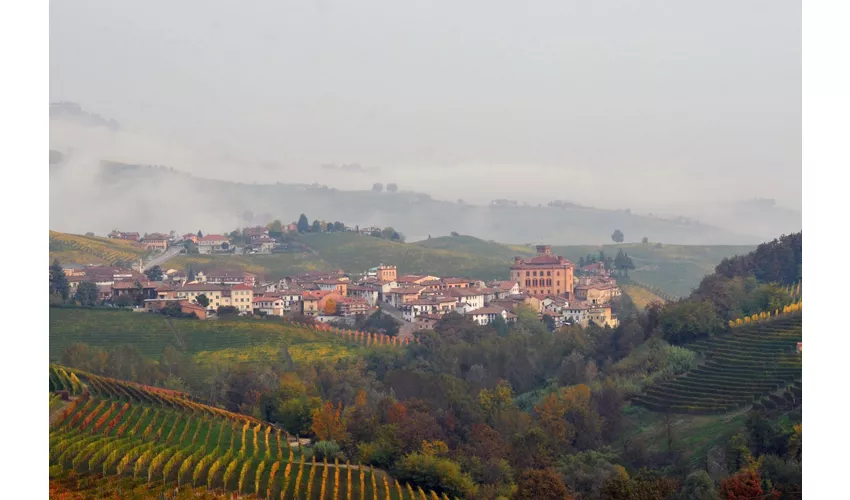 Barolo