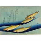 Graphic Japan