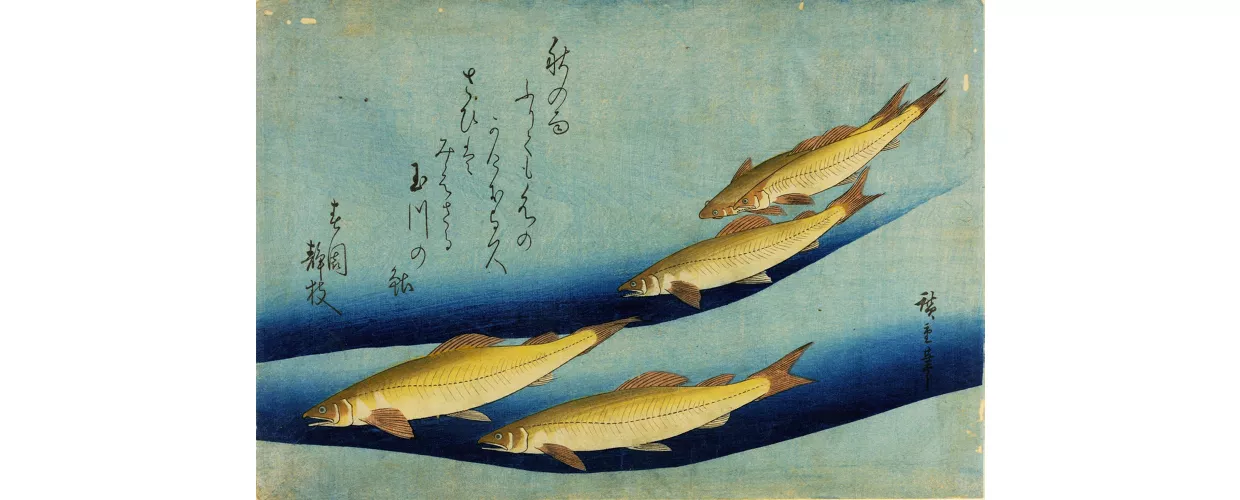 Graphic Japan