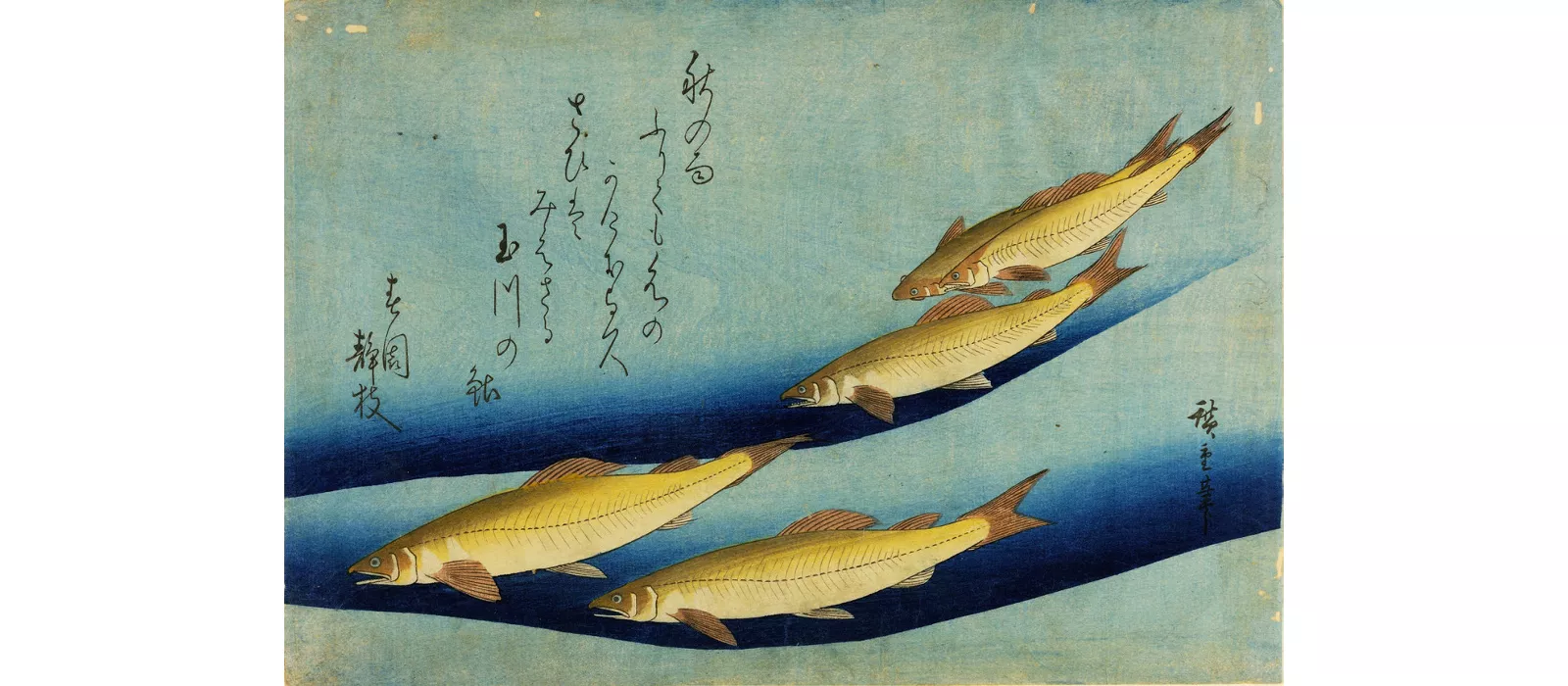 Graphic Japan