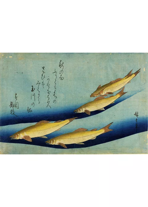 Graphic Japan