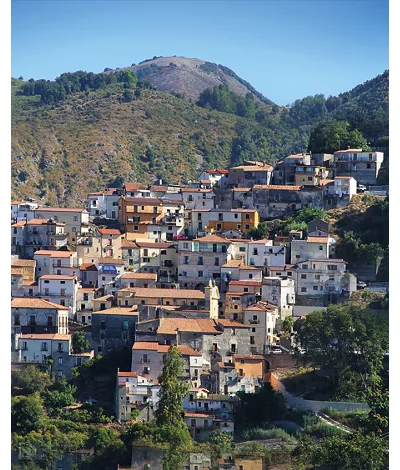 buonvicino