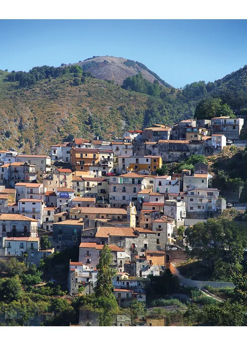 buonvicino