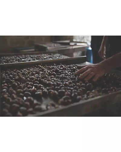 Ottobre in Friuli-Venezia Giulia profuma di castagne