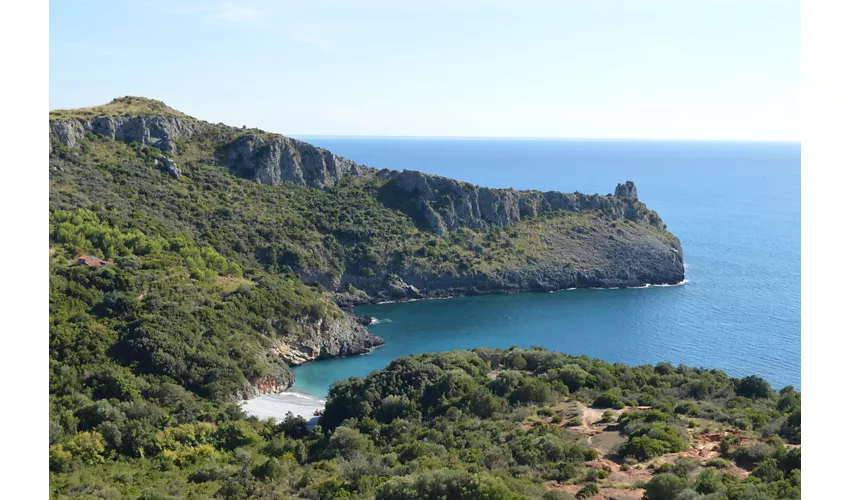 Area Marina Protetta Costa degli Infreschi e della Masseta