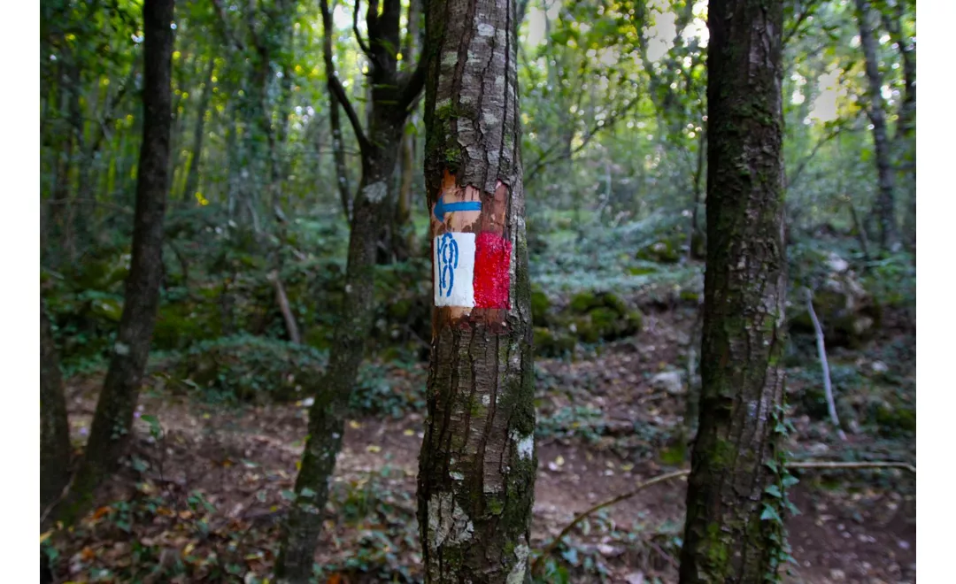 Caminho dos Protomártires Franciscanos