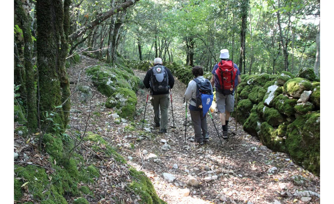 Caminho dos Protomártires Franciscanos