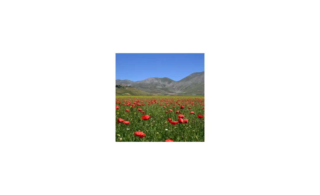 Norcia - Cascia