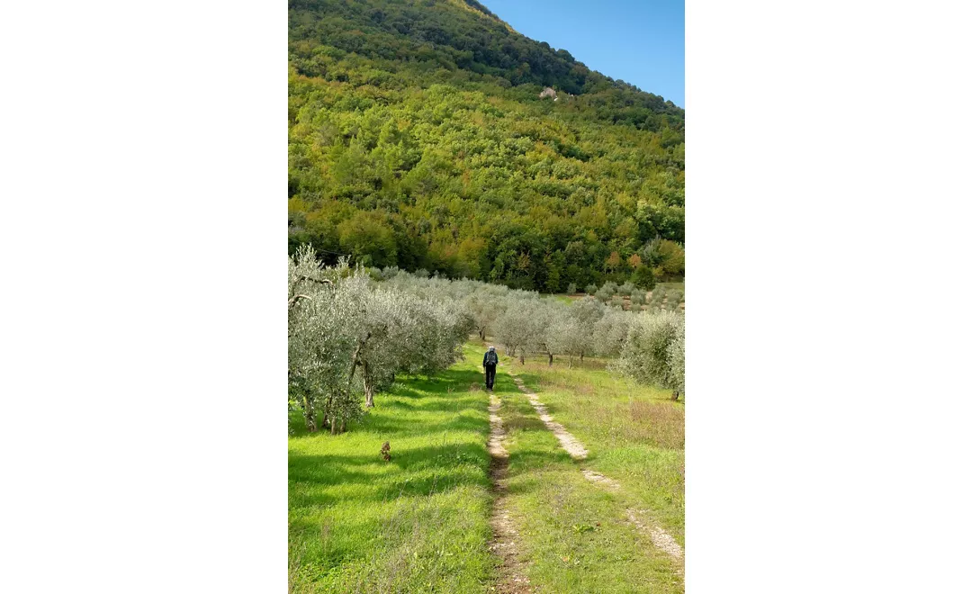 Stroncone – Calvi dell’Umbria