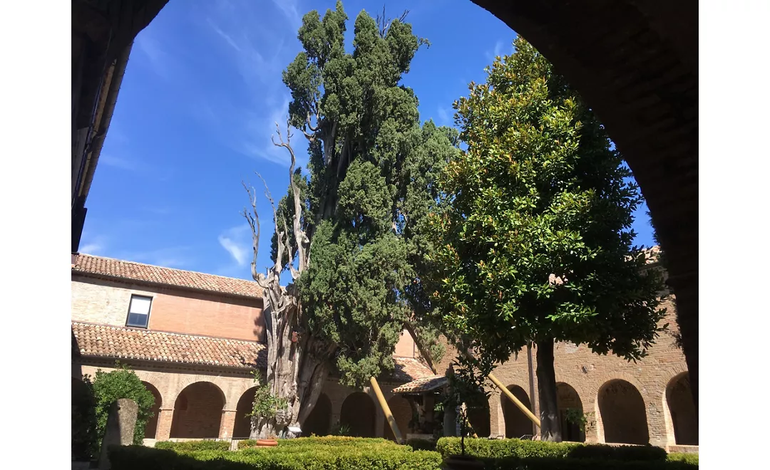 The Saint Francis' Walk from Rimini to La Verna