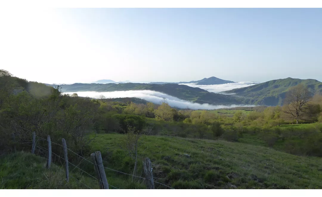 Cammino-di-San-Francesco-da-Rimini-a-La-Verna-OK-T5-PanoramaBalze.jpg