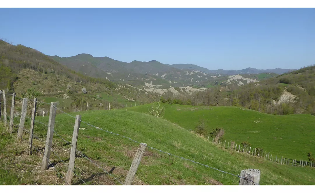 Cammino-di-San-Francesco-da-Rimini-a-La-Verna-OK-Tappa4-Foto-PanoramaMadonnaDelPiano.jpg