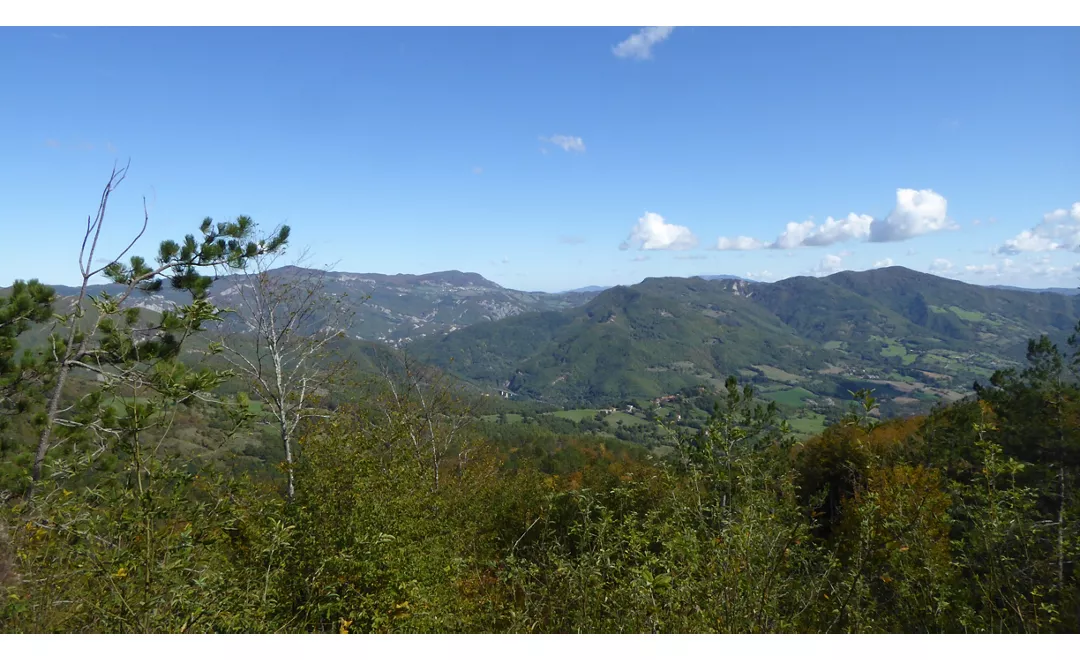 Cammino-di-San-Francesco-da-Rimini-a-La-Verna-OK-Var5-T2-Foto-PanoramaDaPieveVersoLaVerna.jpg