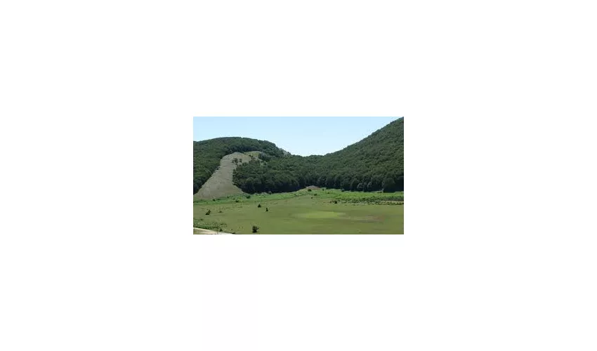 Vitulano
