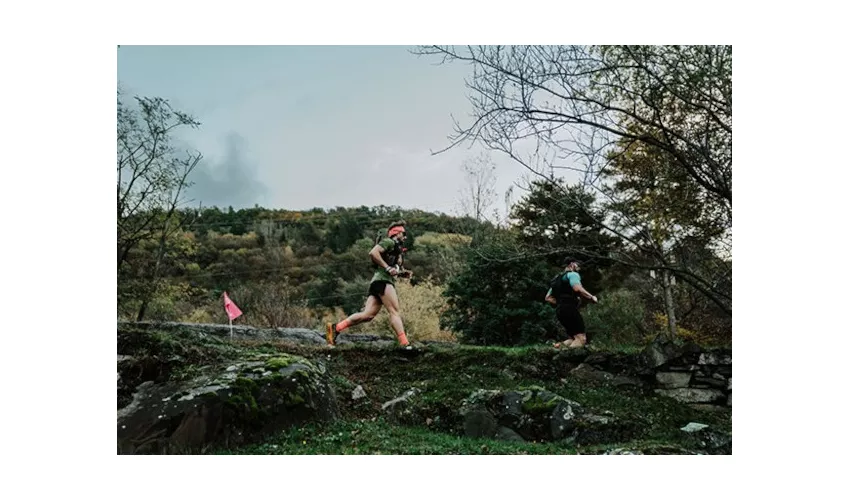 Capo Di Ponte, Parco di  Naquane (Ph: Valentina Celeste)