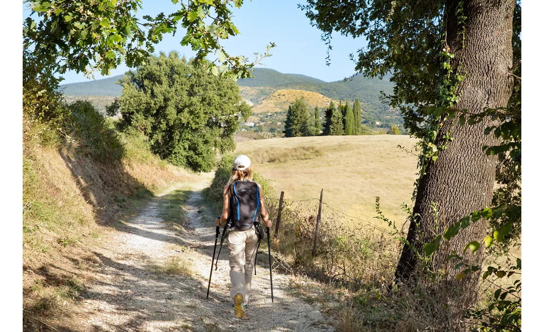 Via di Francesco