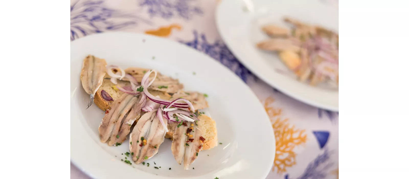 Cesenatico, Azzurro come il Pesce, Archivio Comune di Cesenatico, CC-BY-NC-SA 3.0