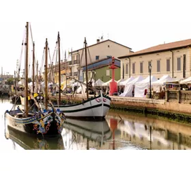 Il pesce fa festa