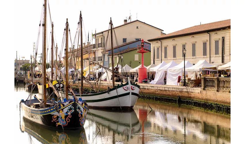 Il pesce fa festa