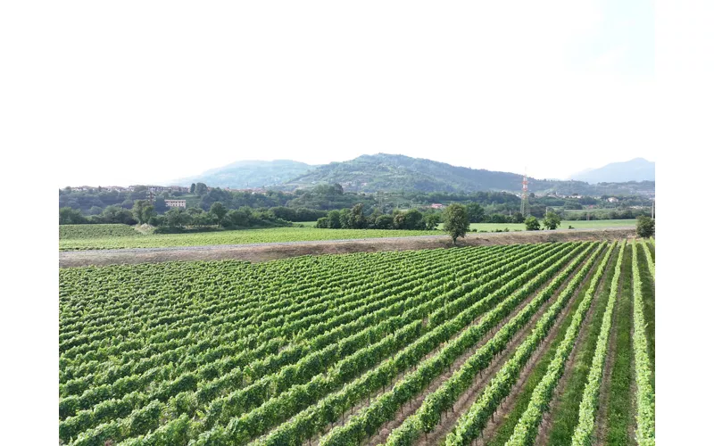 Alla scoperta della Franciacorta e del Sebino
